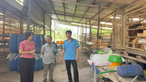 TỪ 4 CON DÊ GIỐNG ĐẾN MÔ HÌNH CHĂN NUÔI DÊ HIỆU QUẢ TẠI KHU PHỐ 4