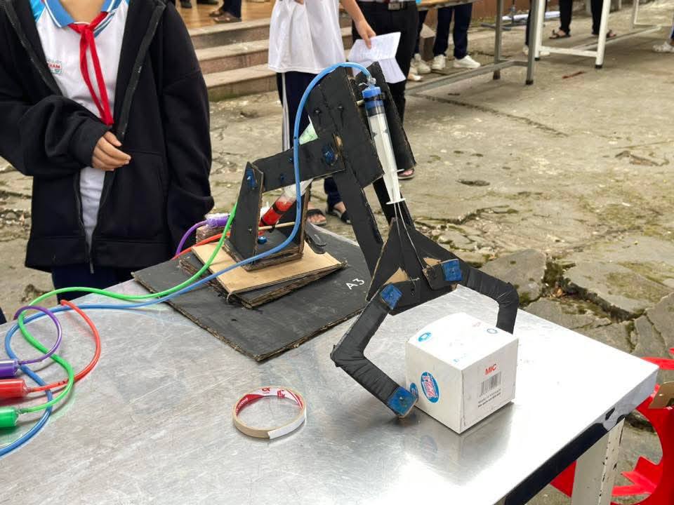 624473348 893828509704388 7307973692554785601 n