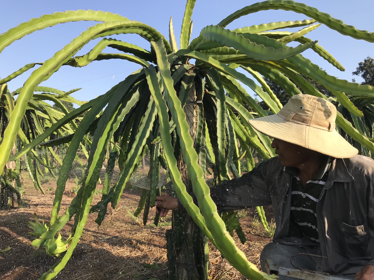 thanhlong.jpg?t=1762423332