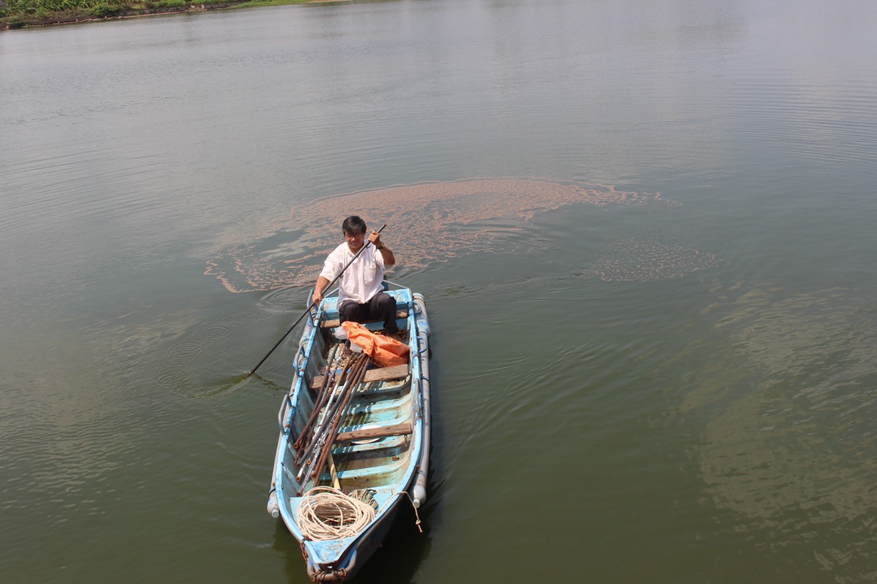 hinh 110520.10.jpg?t=1762423332