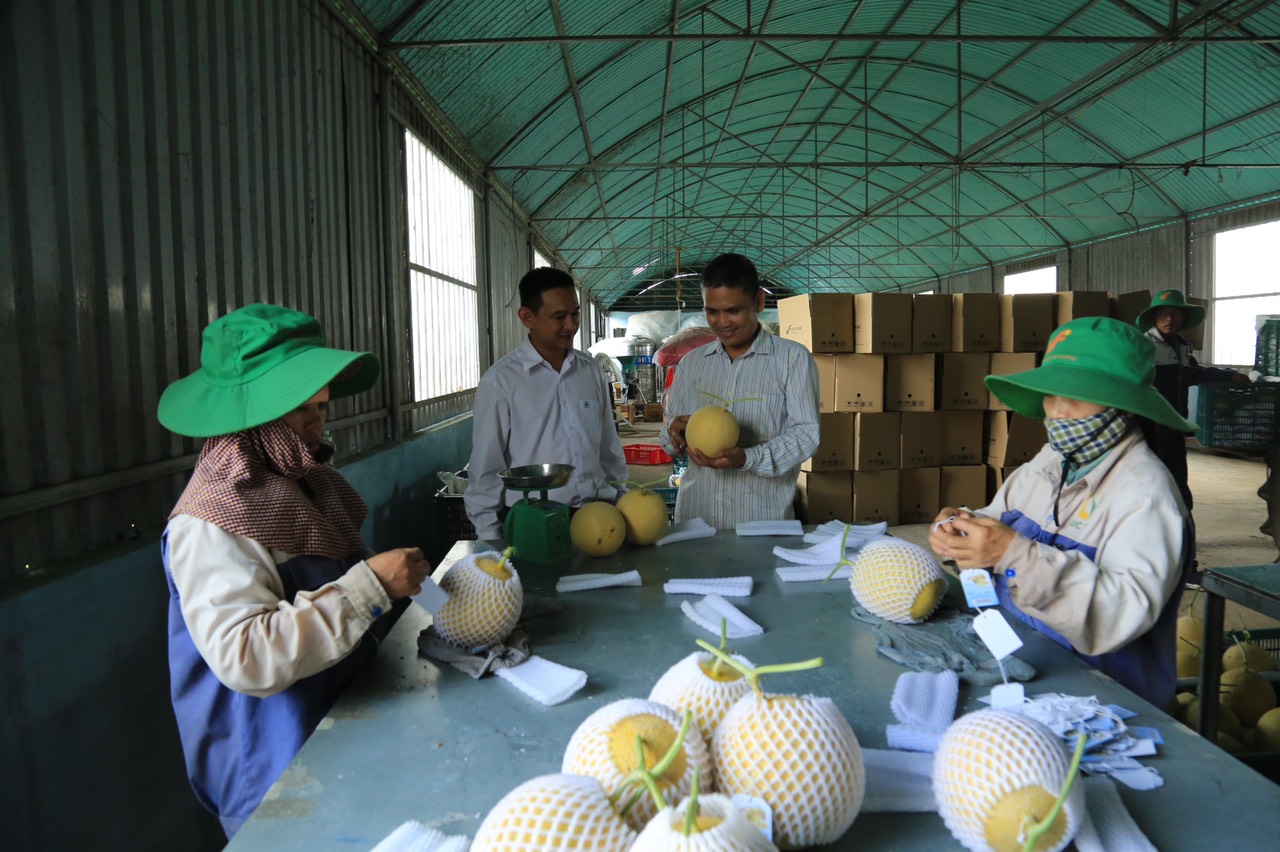 hinh 270720.4.jpg?t=1762423332