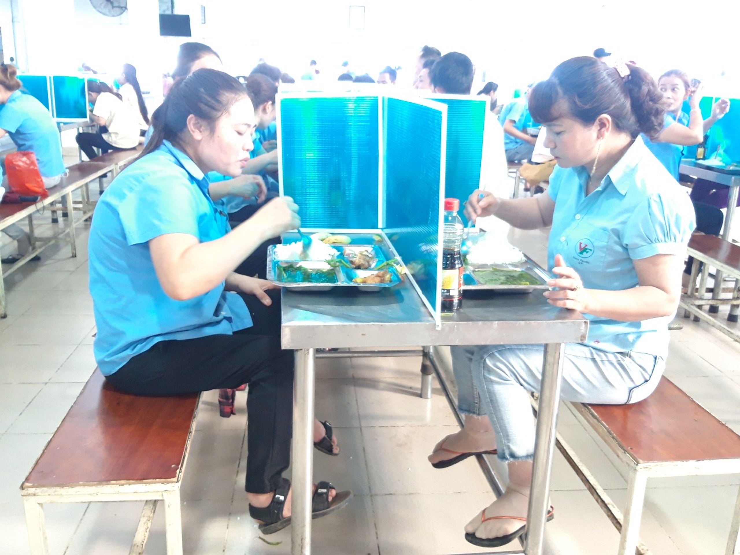 hinh 080221.7.jpg?t=1762423332