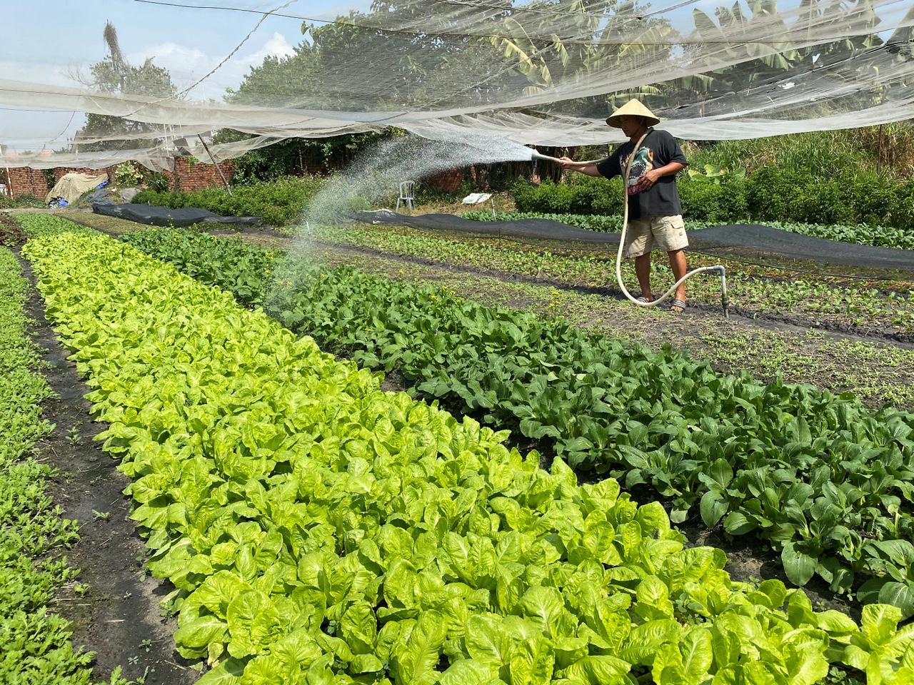 hinh 120421.13.jpg?t=1762423332