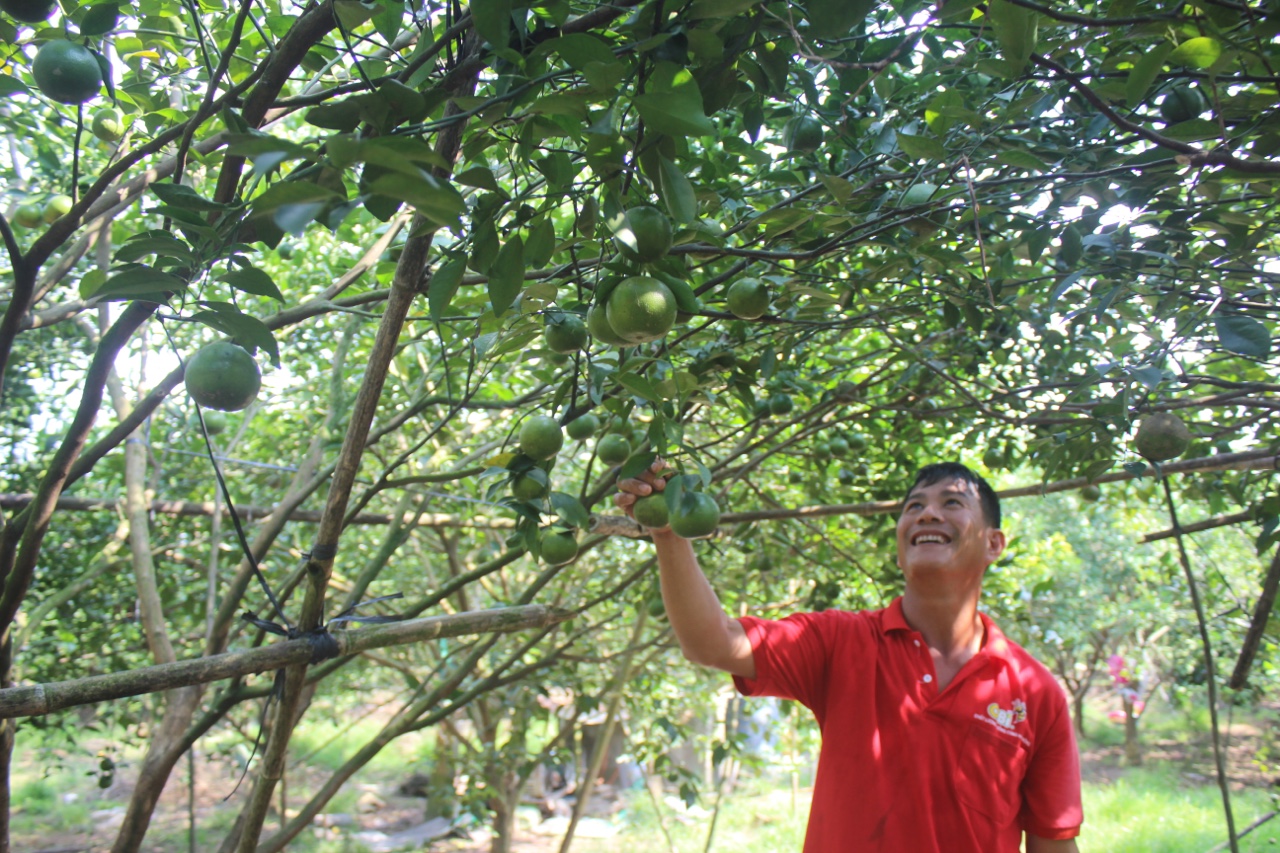 hinh 120421.14.jpg?t=1762423332