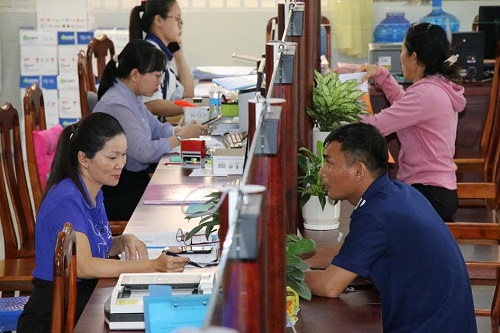 Bài viết 61 1