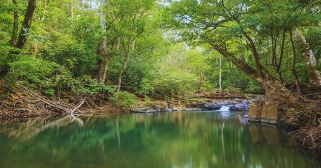 Du lịch Bù Gia Mập (Bình Phước) với những địa điểm đáng ghé