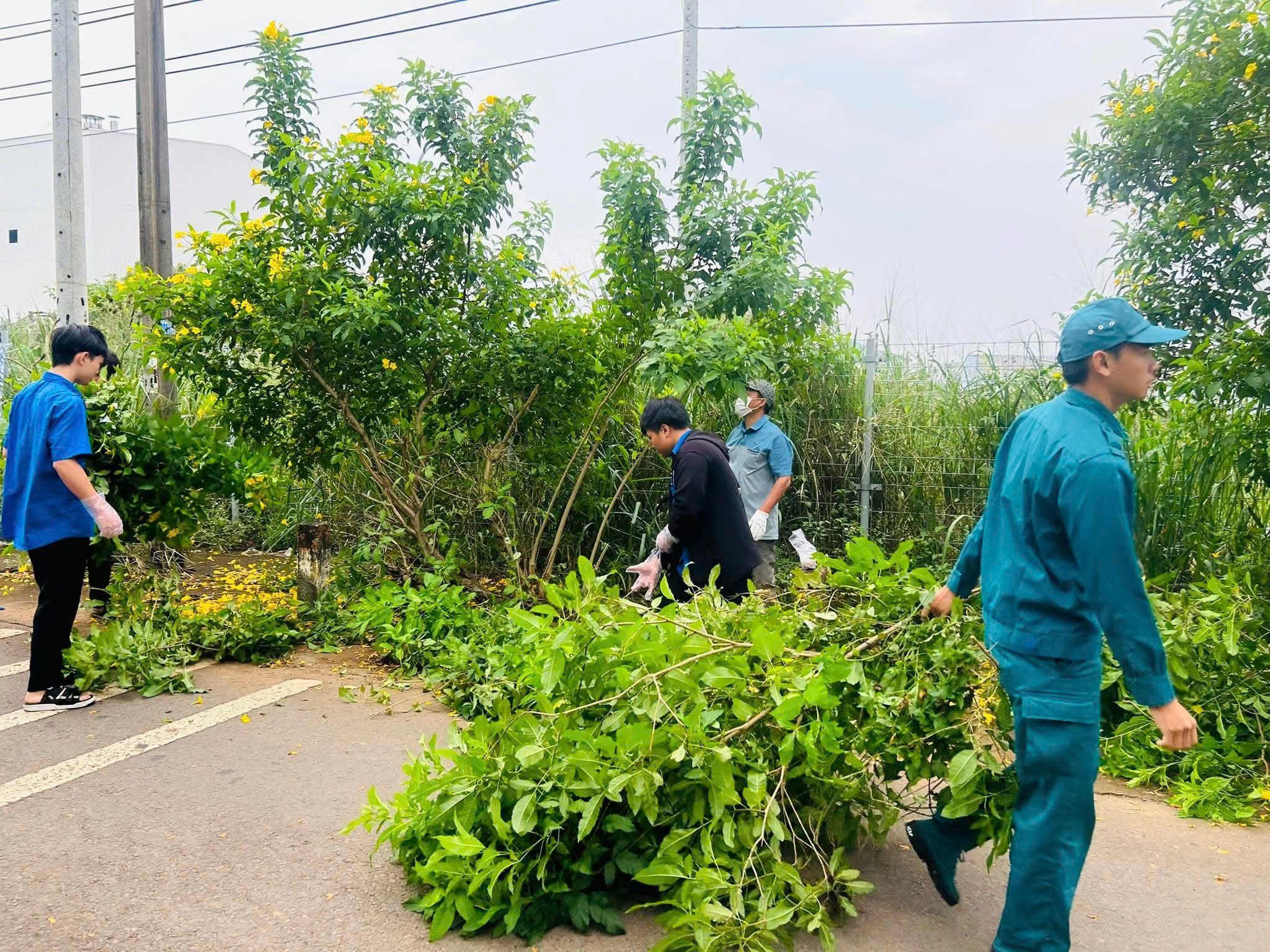 z6843259002130 04fa24171f4c404ced0aebb0dac4ab87