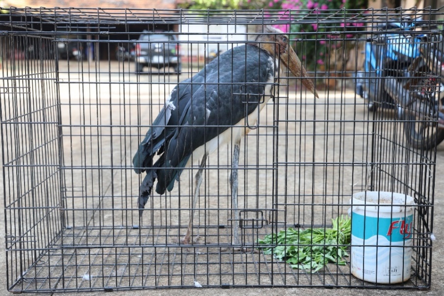image 68