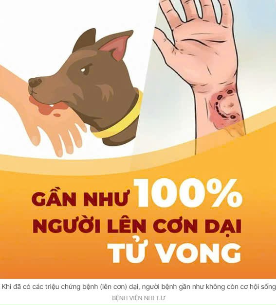 TỬ%20VONG.jpg?t=1762423301