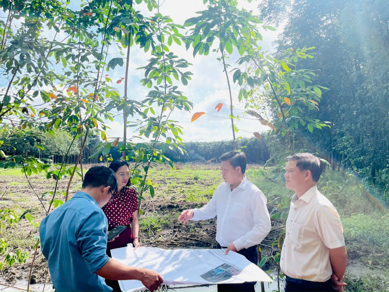 /Users/admin/Desktop/Ml2.jpg?t=1762423301