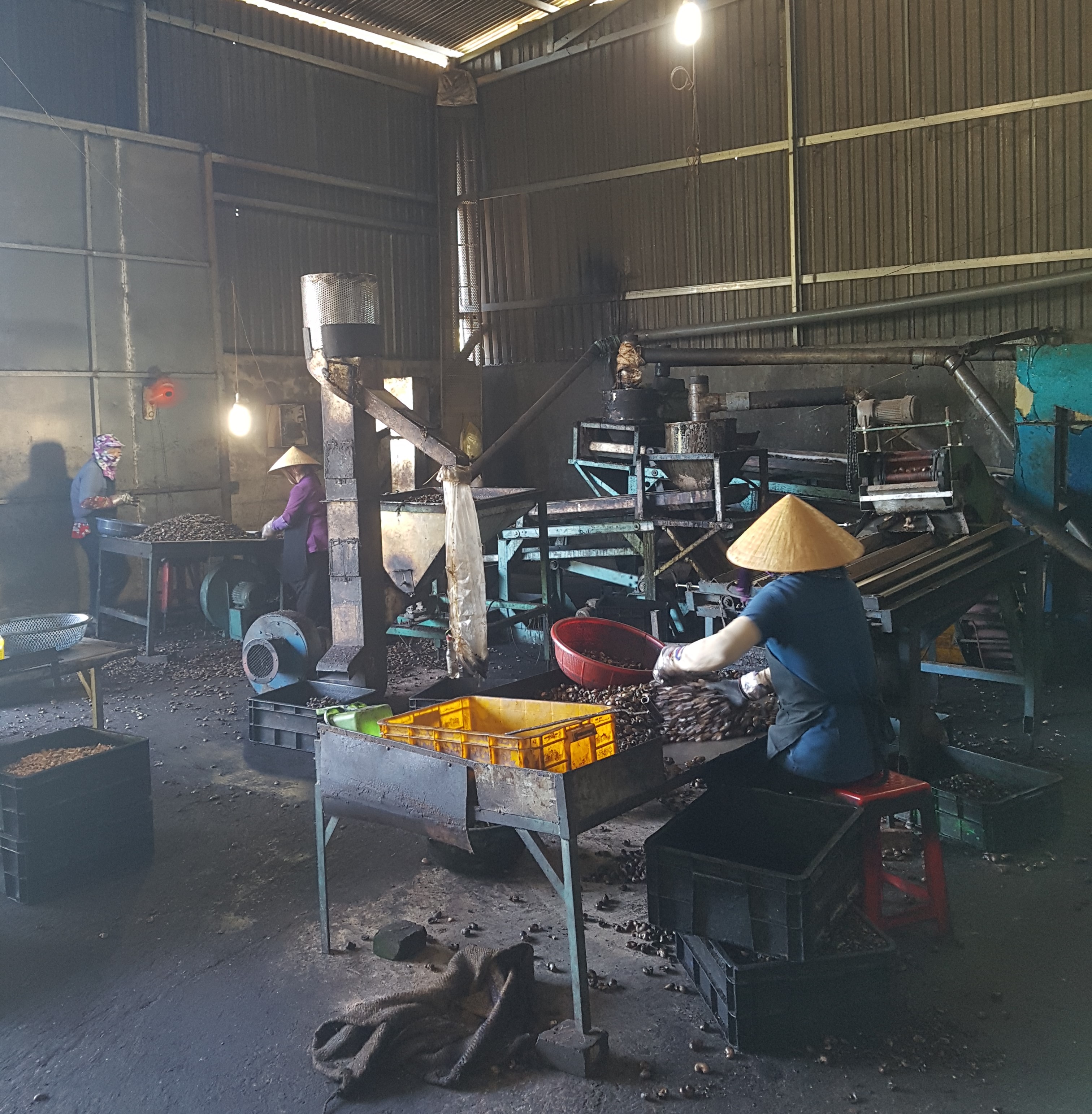 20190724_103301.jpg?t=1762423302