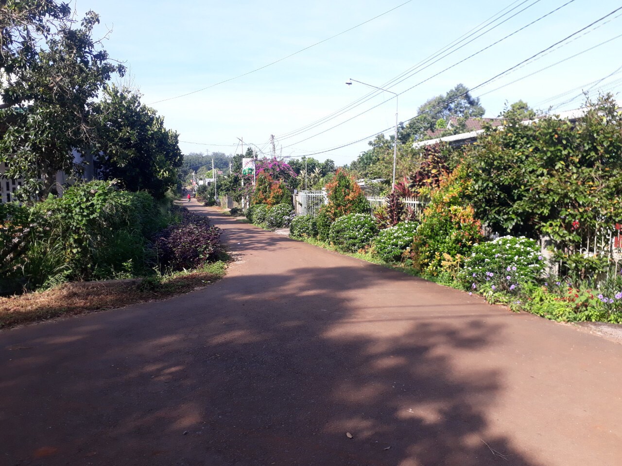 h1- KDC.jpg?t=1762423302