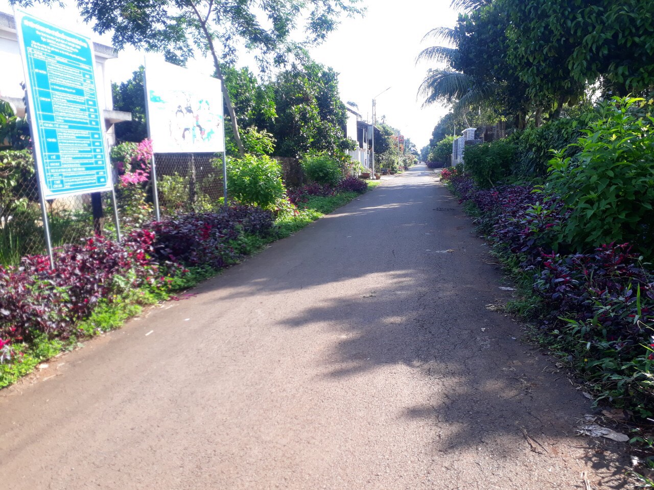 h1- KDC.jpg?t=1762423302