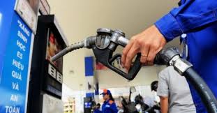 images.jpg?t=1762423302