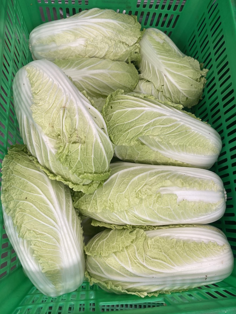 z4049933073093_43ff1afe4727ac5406c254e3d7ef5ad6.jpg?t=1762423302