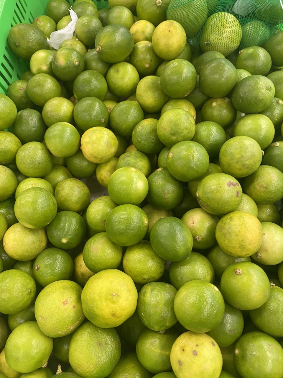 z4049933079347_2bf3c77d97550bab2b2c21f63379806c.jpg?t=1762423302