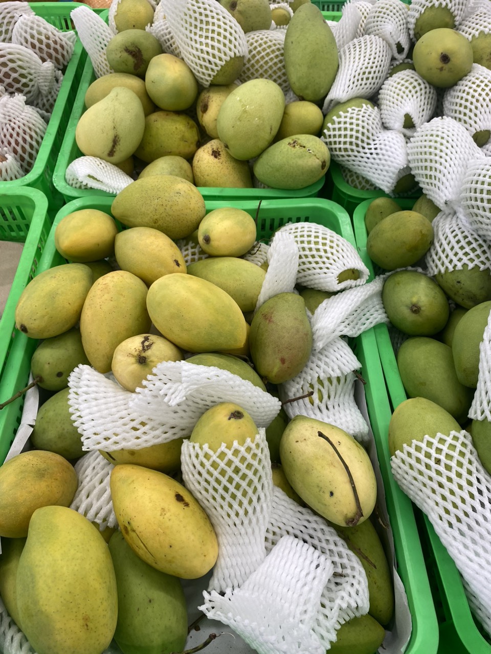 z4070099643642_e446f5a971e9b04f5e815cdaf26c2b52.jpg?t=1762423302