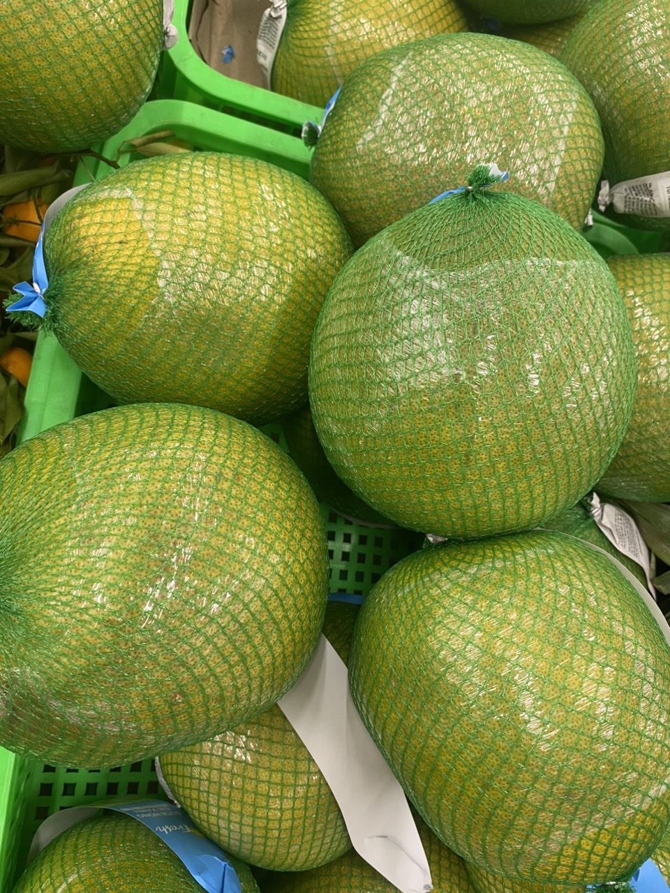 z4070099681321_f0ea6d2cdd0a949d1270e10a3b79b721.jpg?t=1762423302