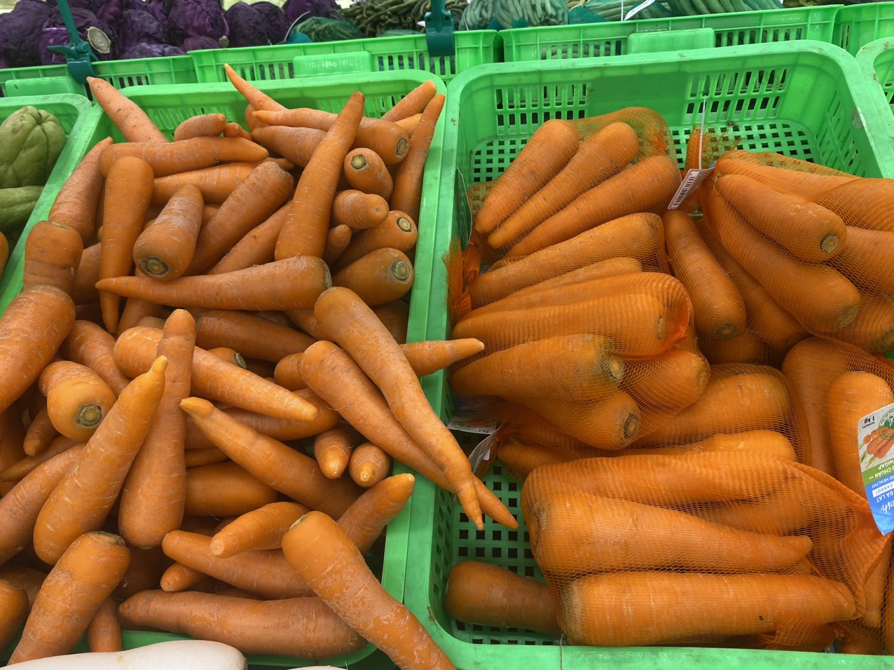 z4070099649163_3d1744329987de553f01905bbfecf6d6.jpg?t=1762423302