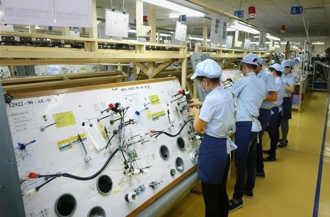 bai49.jpg?t=1762423302