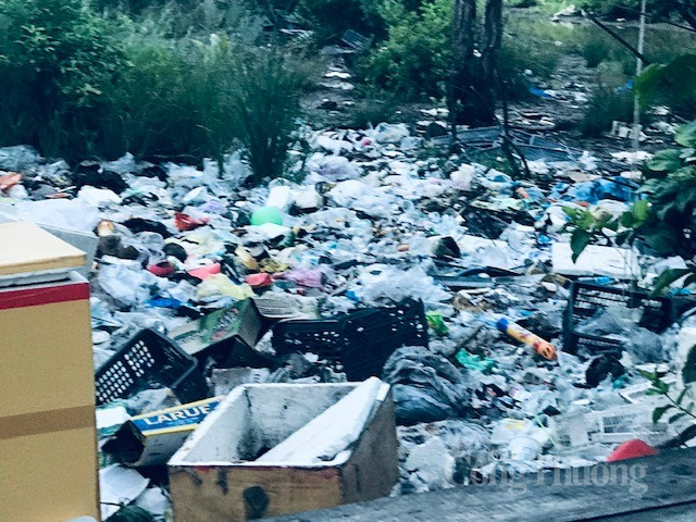 bai77.1.jpg?t=1762423302