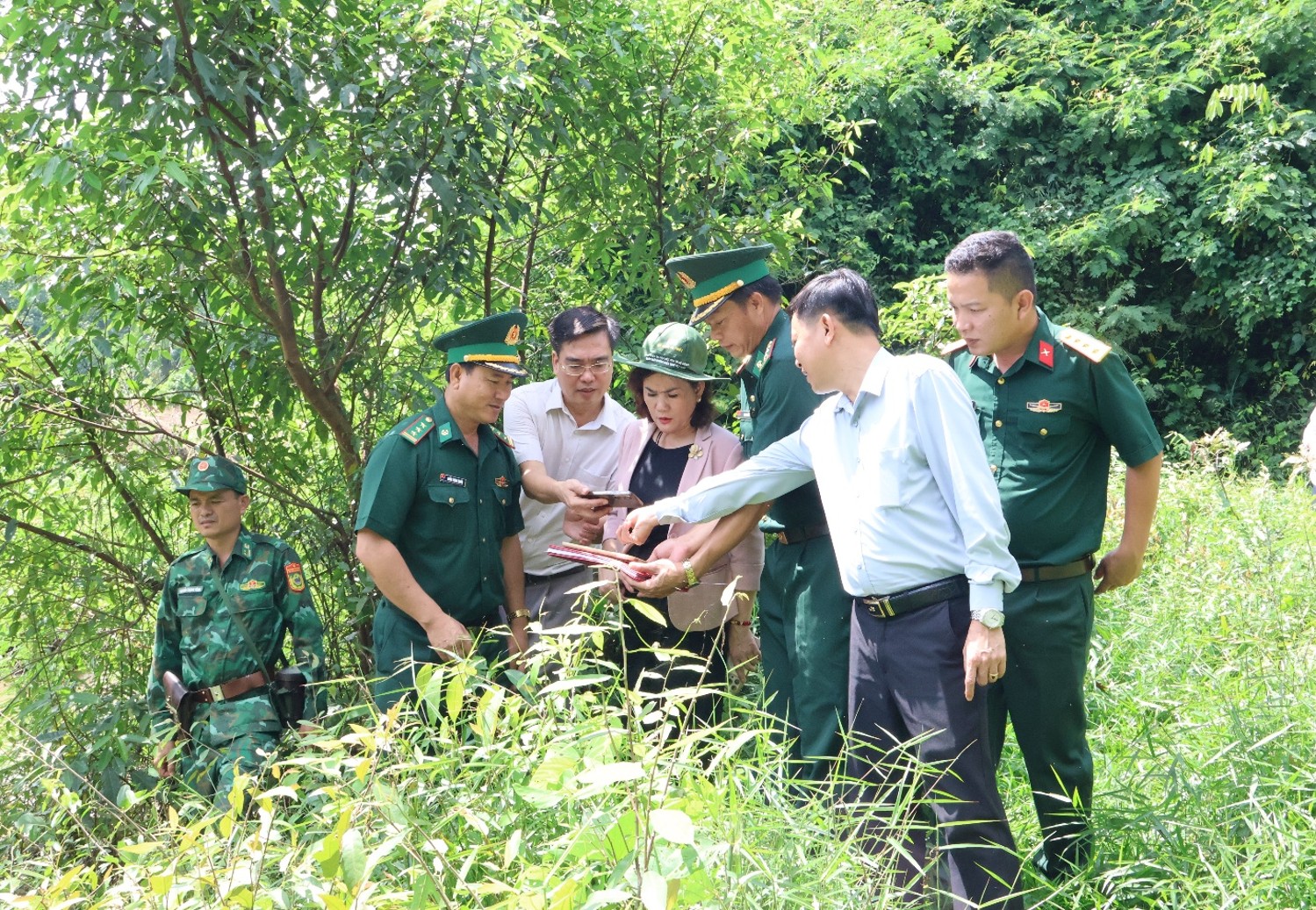 BCD loc tan4