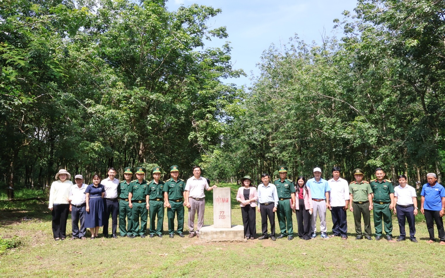 BCD loc tan5