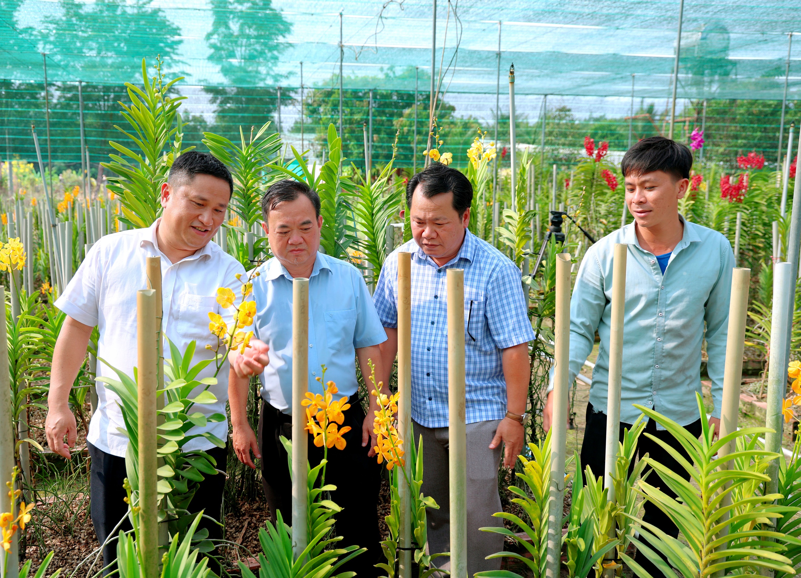 ''A group of men standing in a garden
Description automatically generated''