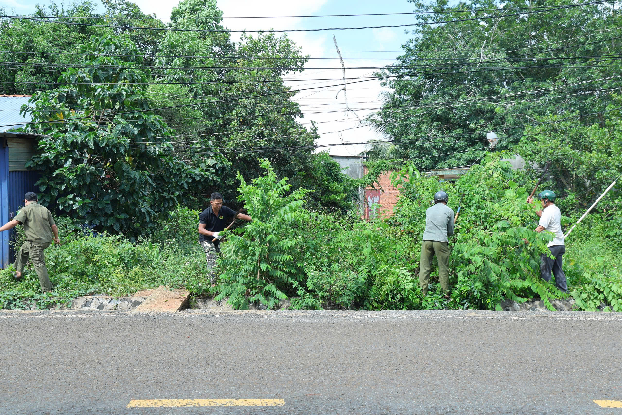 A few men working in a garden
Description automatically generated