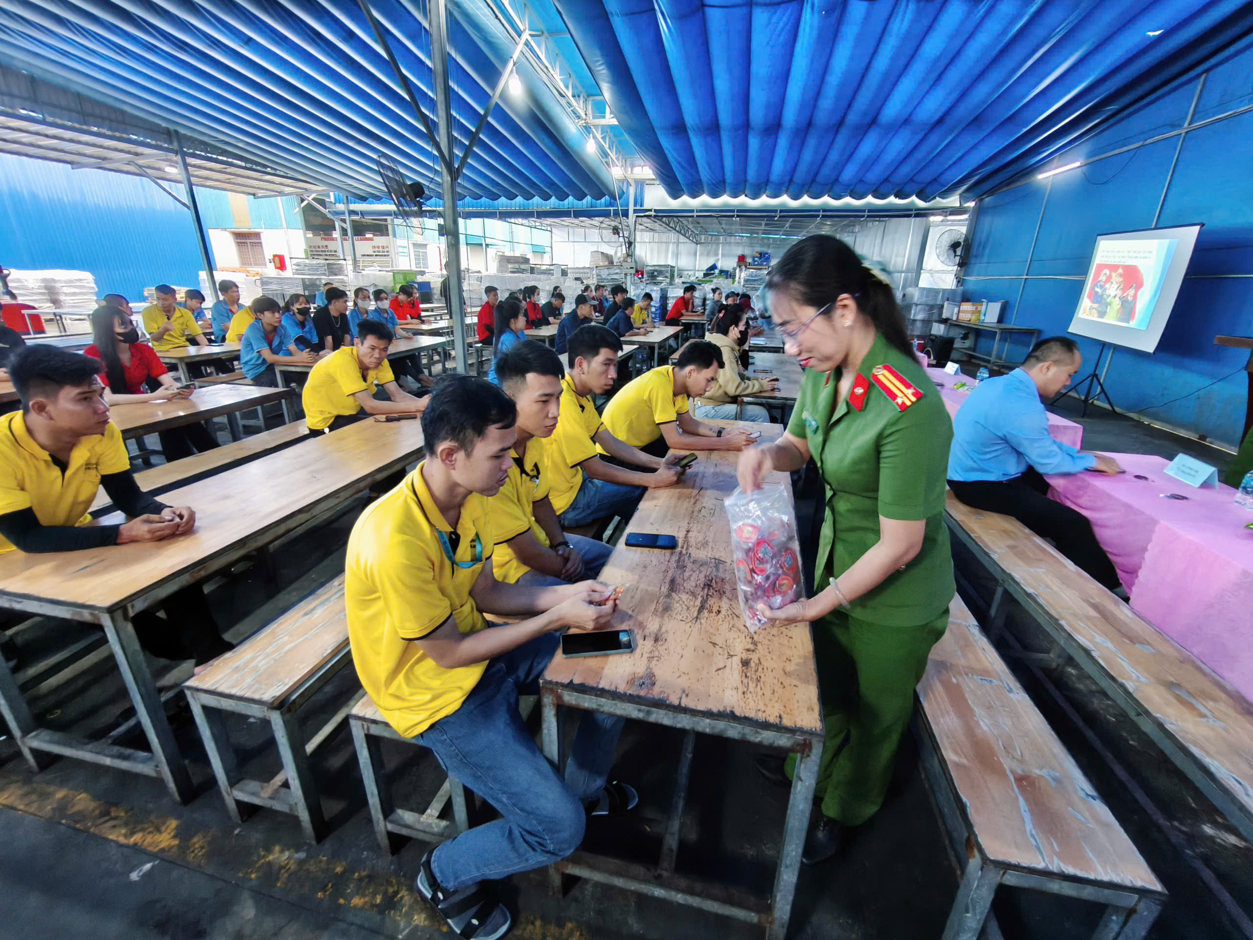 131a1c3a04028c5cd513