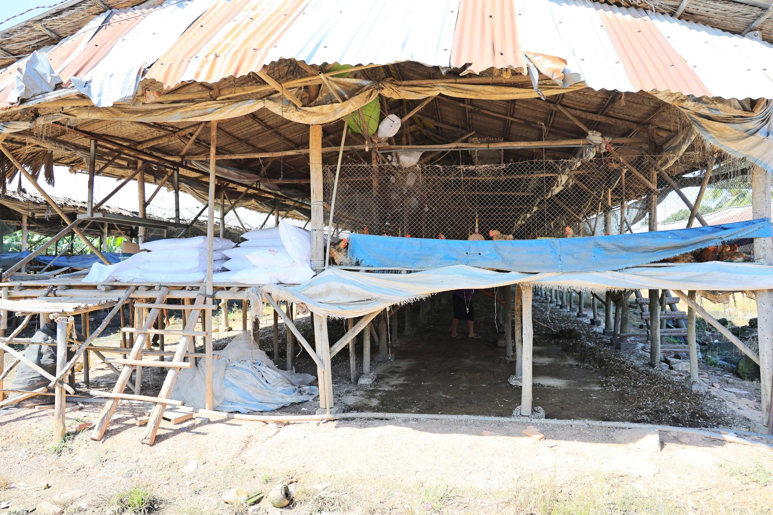 gen h z7122227322022 c4888ec434e7ba02ae25574d1848a72f