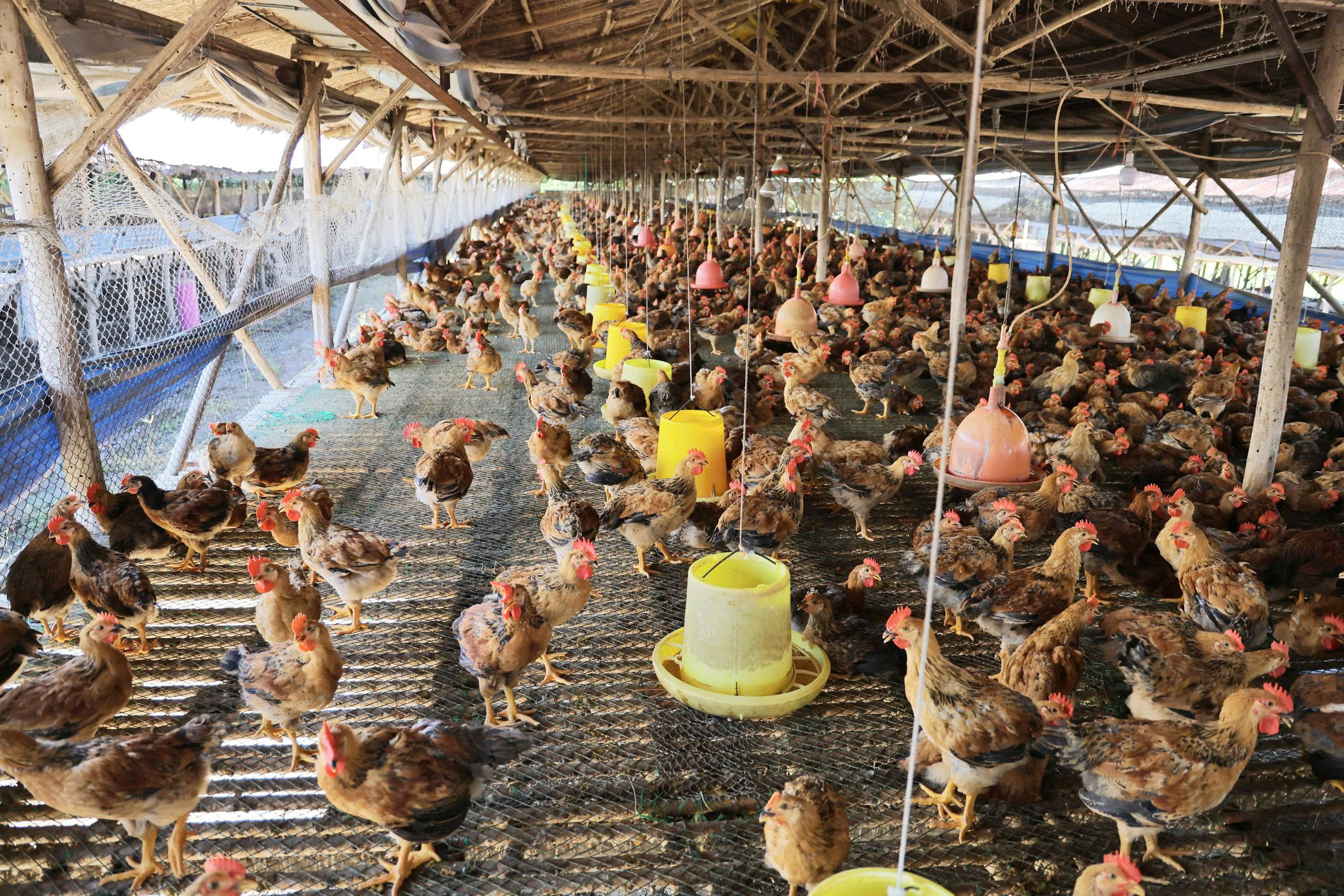 gen h z7122227322029 75f26dbdb685fc9009a1018ea8159818