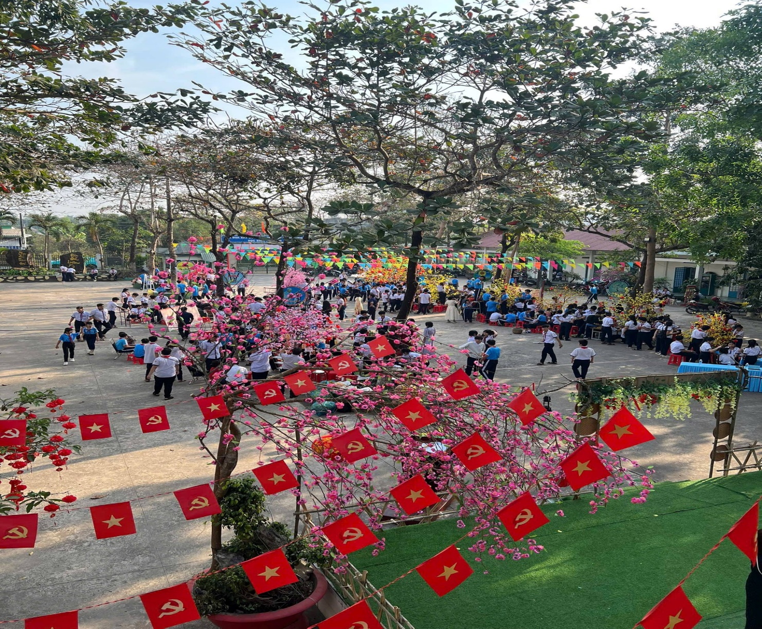 Có thể là hình ảnh về cây và cối xay gió