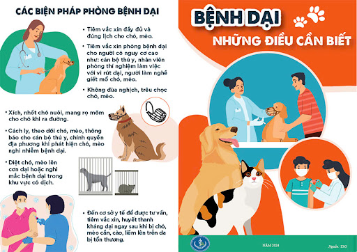 NGHĨA VỤ CỦA NGƯỜI NUÔI CHÓ, MÈO TRONG VIỆC TIÊM PHÒNG VẮC XIN DẠI