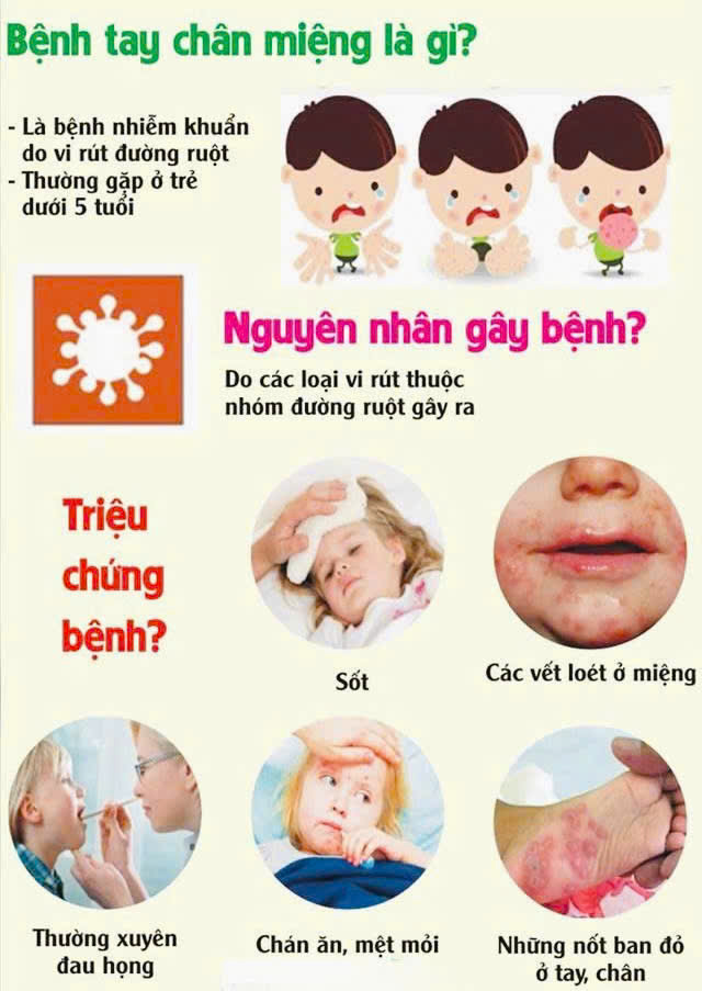 ảnh TT tay chân miệng 1