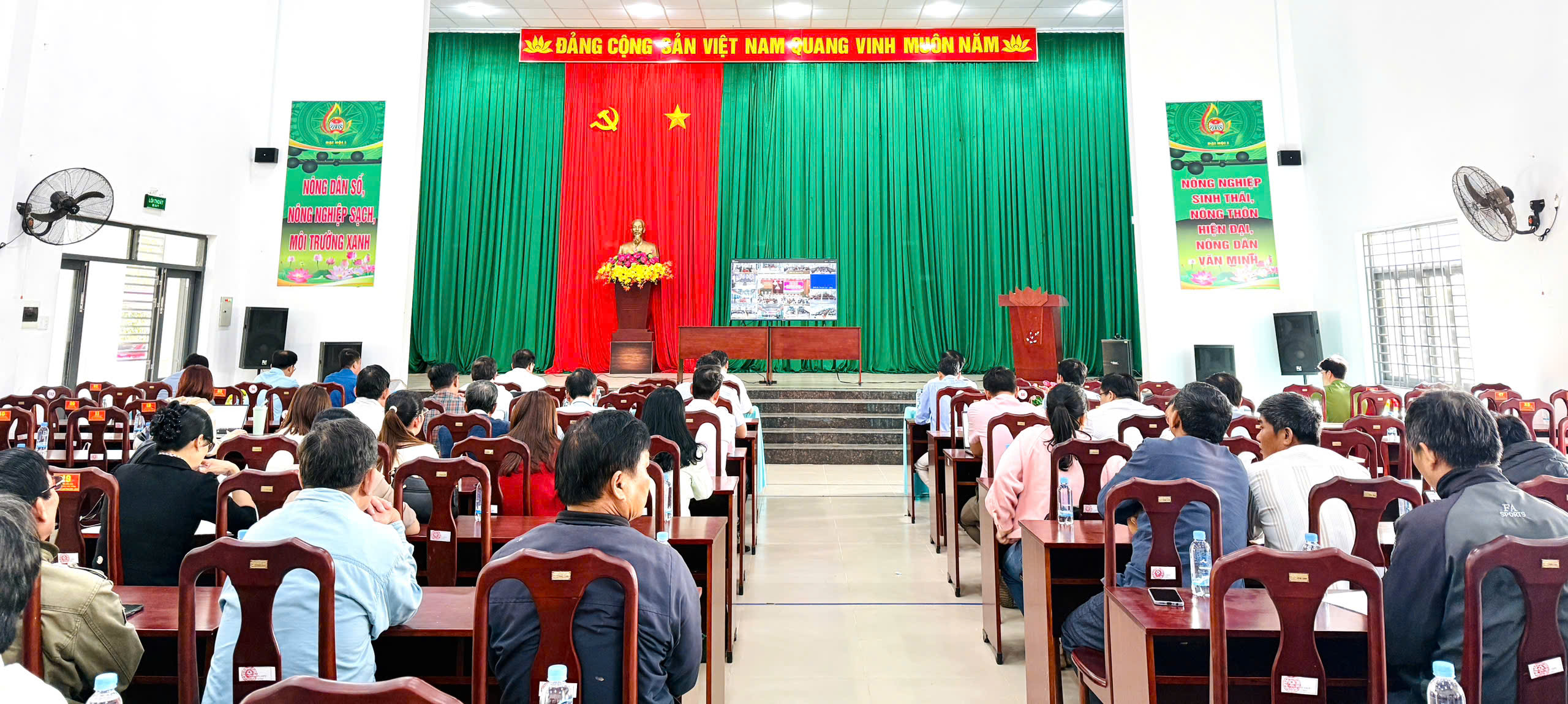 ảnh toàn HN