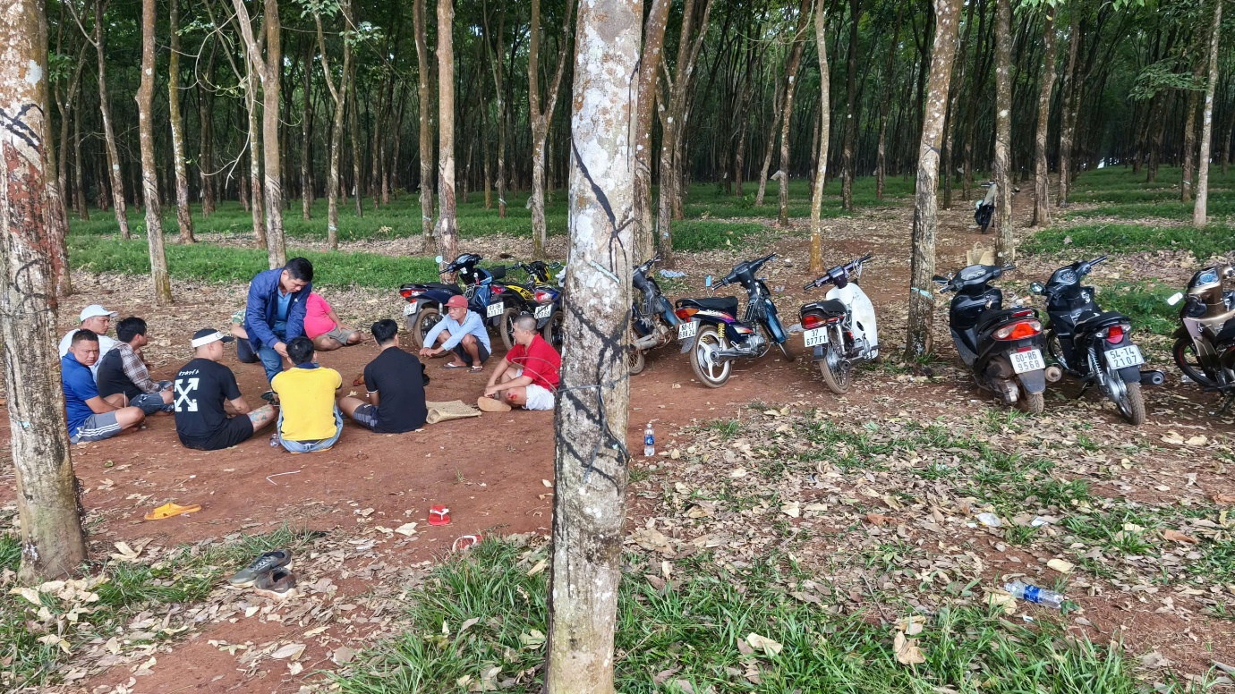 ảnh đánh bạc