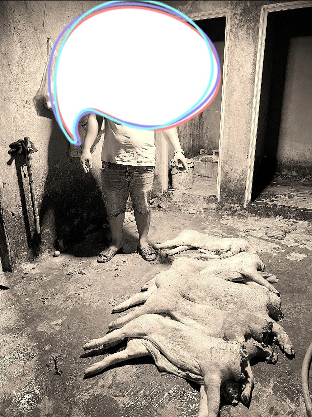 ảnh tang vật