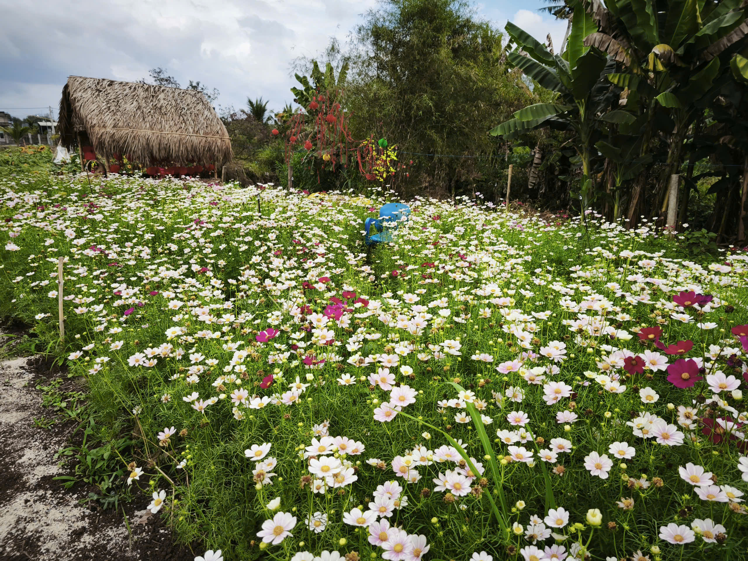 z7524419889701 ee7081b9a003530e9bf45e118956cebc