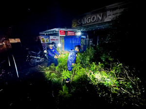 BAN CHỈ HUY QUÂN SỰ PHƯỜNG AN LỘC KỊP THỜI KHẮC PHỤC SỰ CỐ CÂY XÀ CỪ ĐỔ GÂY ÁCH TẮC GIAO THÔNG