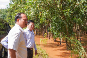 ĐỒNG CHÍ TRẦN THANH LONG - PHÓ BÍ THƯ ĐẢNG ỦY, CHỦ TỊCH UBND PHƯỜNG AN LỘC KHẢO SÁT TÌNH HÌNH NGẬP ÚNG, CHỈ ĐẠO LỰC LƯỢNG TIẾP TỤC HỖ TRỢ NGƯỜI DÂN