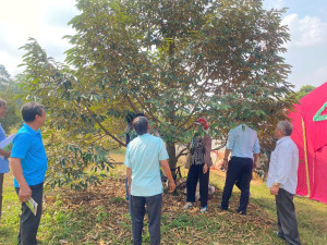 HỘI NÔNG DÂN PHƯỜNG AN LỘC TỔ CHỨC HỘI THẢO HƯỚNG DẪN CHĂM SÓC SẦU RIÊNG VÀ GIỚI THIỆU CÔNG NGHỆ TRUY XUẤT NGUỒN GỐC