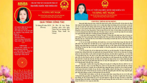 TIỂU SỬ TÓM TẮT CỦA NGƯỜI ỨNG CỬ ĐẠI BIỂU QUỐC HỘI KHOÁ XVI TẠI ĐƠN VỊ BẦU CỬ SỐ 5 TỈNH ĐỒNG NAI.