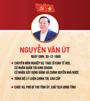 Danh sách Thường trực UBND tỉnh Đồng Nai khóa XI, nhiệm kỳ...