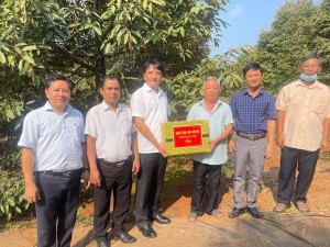 LÃNH ĐẠO PHƯỜNG AN LỘC THĂM MÔ HÌNH TRỒNG SẦU RIÊNG HỮU CƠ CỦA TỔ HỢP TÁC SẦU RIÊNG THANH PHÚ