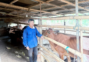 HIỆU QUẢ TỪ NGUỒN VỐN VAY ƯU ĐÃI: NHỮNG TẤM GƯƠNG NÔNG DÂN LÀM KINH TẾ GIỎI TẠI PHƯỜNG AN LỘC