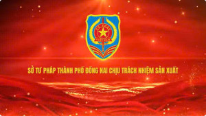Phòng chống bạo lực gia đình, bình đẳng giới