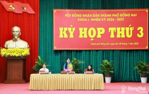 Đại biểu HĐND thành phố Đồng Nai hiến kế khơi thông điểm nghẽn, tạo động lực tăng trưởng