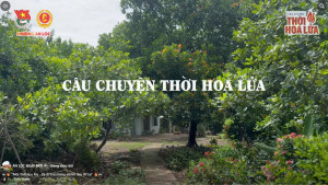 "Một thời hoa lửa - Ký ức hào hùng và nỗi đau để lại"