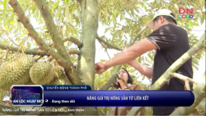 NÂNG GIÁ TRỊ NÔNG SẢN TỪ LIÊN KẾT